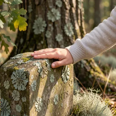 The Hidden World of Lichens