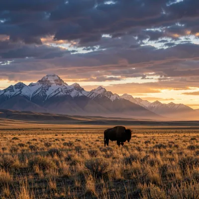 A Concise History of Wyoming