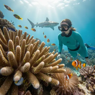 The Hidden Life of Coral Reefs