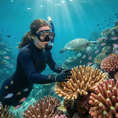 The Hidden Life of Coral Reefs