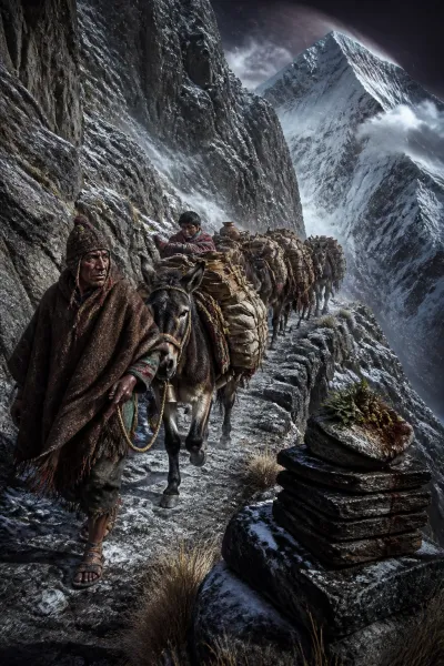 The Andean Muleteers of Colonial Peru