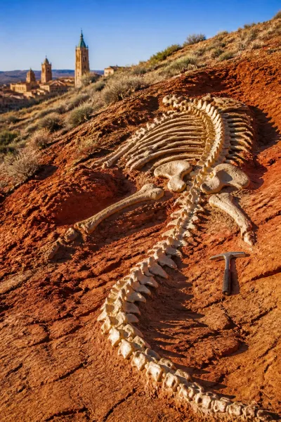 The Spanish Diplodocus: A Jurassic Migration Mystery