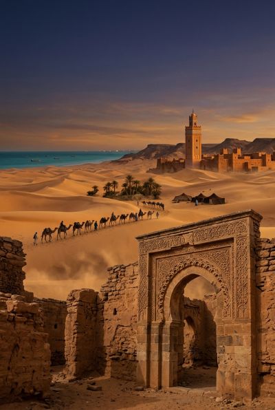 A History of Mauritania