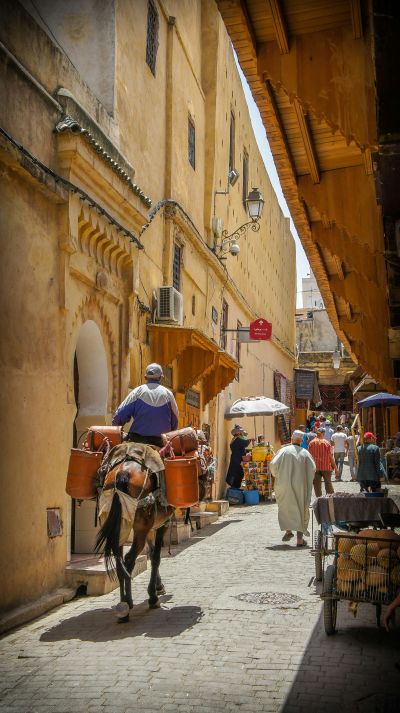 A History of Morocco