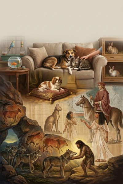 A History of Pets