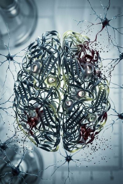 Prions and Prion Diseases